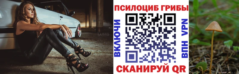 Галлюциногенные грибы Cubensis  Новоаннинский 